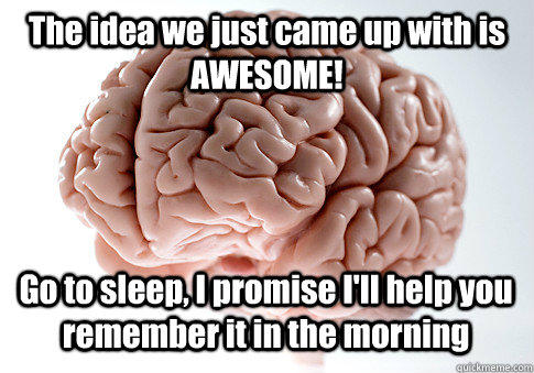 The idea we just came up with is AWESOME! Go to sleep, I promise I'll help you remember it in the morning  - The idea we just came up with is AWESOME! Go to sleep, I promise I'll help you remember it in the morning   Scumbag Brain