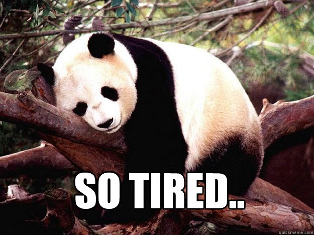 SO TIRED..  Procrastination Panda