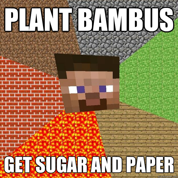 PLant bambus get sugar and paper  Minecraft