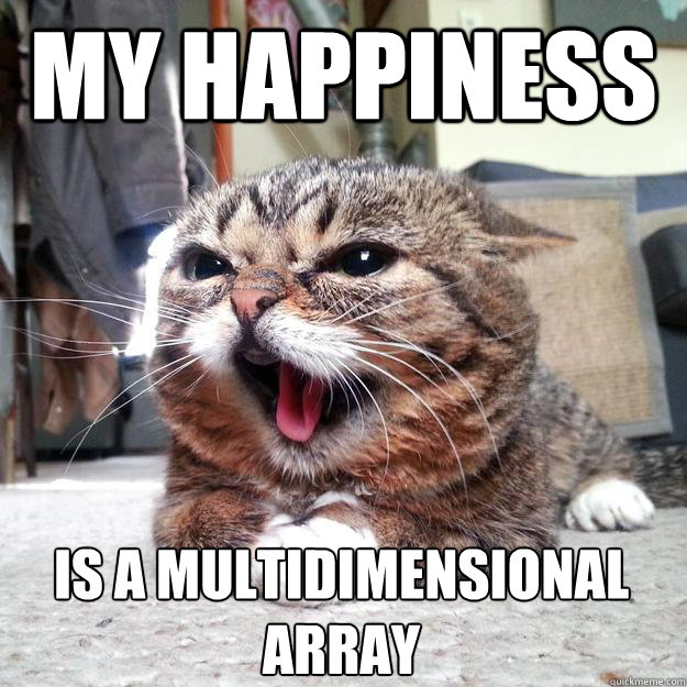 My happiness is a multidimensional array - My happiness is a multidimensional array  Lil Bub