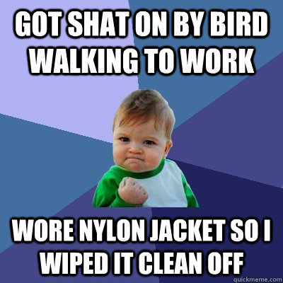 got shat on by bird walking to work wore nylon jacket so i wiped it clean off - got shat on by bird walking to work wore nylon jacket so i wiped it clean off  Success Kid