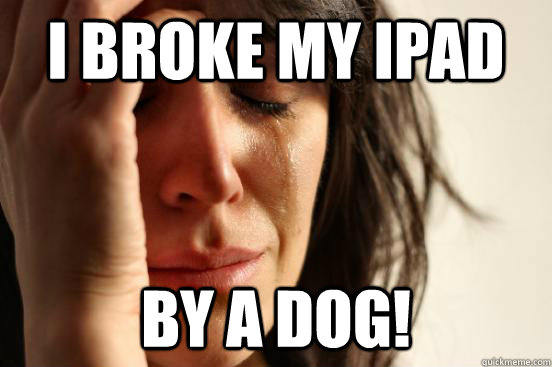 I broke my Ipad by a Dog! - I broke my Ipad by a Dog!  First World Problems