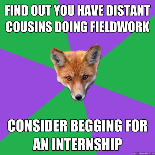 Find out you have distant cousins doing fieldwork consider begging for an internship  Anthropology Major Fox