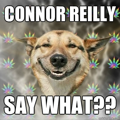 Connor Reilly SAY WHAT??  Stoner Dog