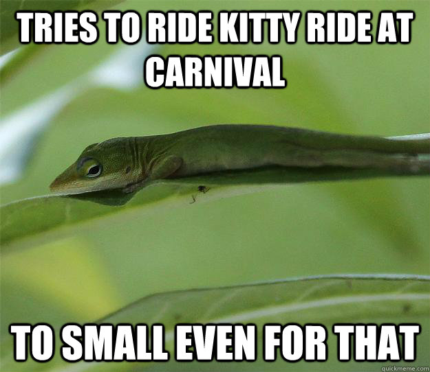 TRIES TO RIDE KITTY RIDE AT CARNIVAL TO SMALL EVEN FOR THAT  Depressed Lizard