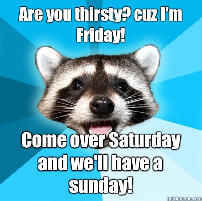 Are you thirsty? cuz I'm Friday! Come over Saturday and we'll have a sunday!  Lame Pun Coon