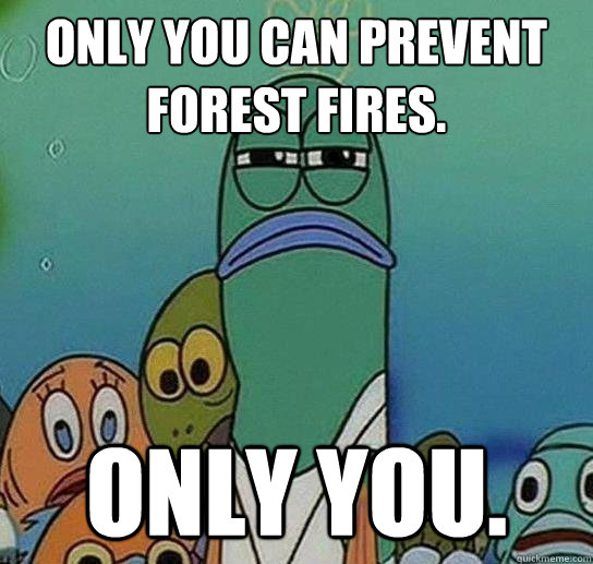 Only you can prevent forest fires. ONly YOU.  Serious fish SpongeBob