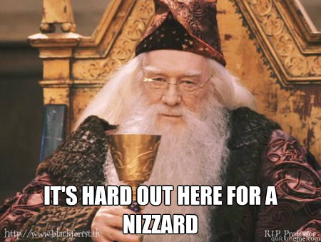  It's hard out here for a nizzard  Drew Dumbledore