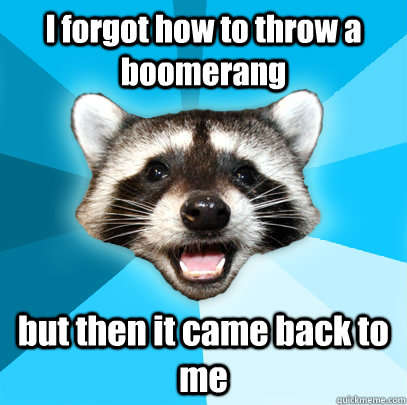 I forgot how to throw a boomerang but then it came back to me  Lame Pun Coon