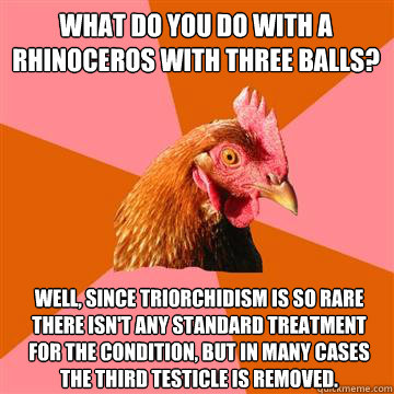 What do you do with a rhinoceros with three balls? Well, since triorchidism is so rare there isn't any standard treatment for the condition, but in many cases the third testicle is removed.  Anti-Joke Chicken