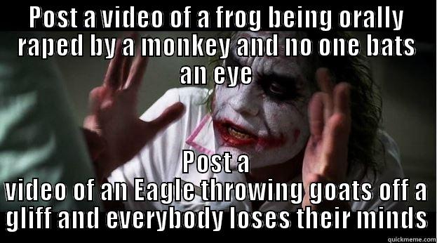 POST A VIDEO OF A FROG BEING ORALLY RAPED BY A MONKEY AND NO ONE BATS AN EYE POST A VIDEO OF AN EAGLE THROWING GOATS OFF A GLIFF AND EVERYBODY LOSES THEIR MINDS Misc