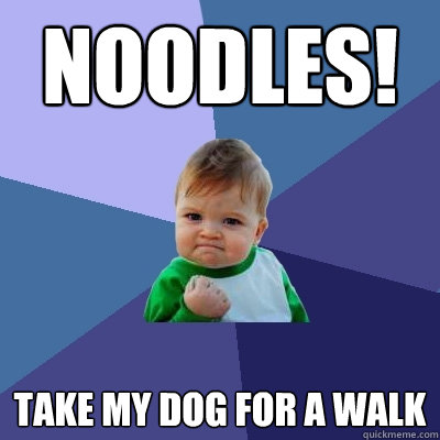 NOODLES! TAKE MY DOG FOR A WALK  Success Kid