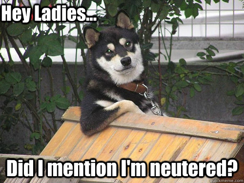 Did I mention I'm neutered? Hey Ladies...  