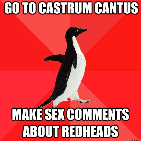 Go to castrum cantus make sex comments about redheads  Socially Awesome Penguin