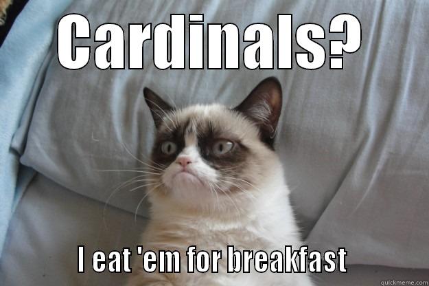 CARDINALS?            I EAT 'EM FOR BREAKFAST            Grumpy Cat