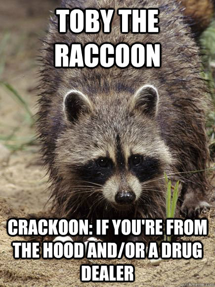 Toby the raccoon  Crackoon: If you're from the hood and/or a drug dealer  crackoon