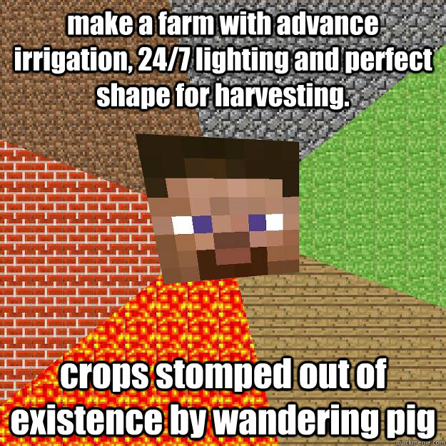 make a farm with advance irrigation, 24/7 lighting and perfect shape for harvesting. crops stomped out of existence by wandering pig  Minecraft