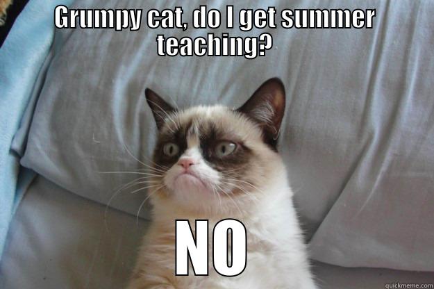 GRUMPY CAT, DO I GET SUMMER TEACHING? NO Grumpy Cat