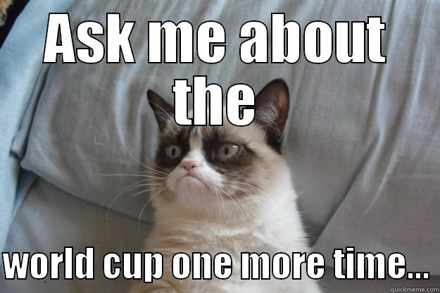 World cup shit  - ASK ME ABOUT THE  WORLD CUP ONE MORE TIME... Grumpy Cat