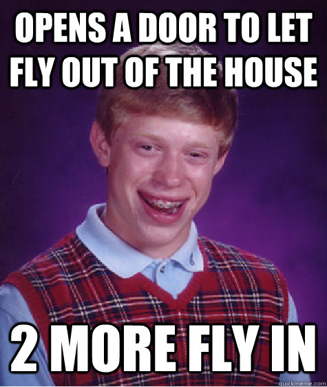 Opens a door to let fly out of the house 2 more fly in  Bad Luck Brian