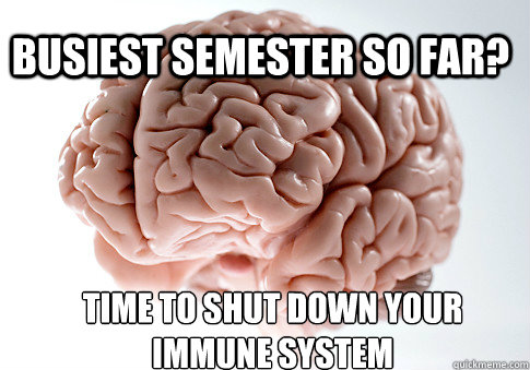 Busiest semester so far? Time to shut down your immune system - Busiest semester so far? Time to shut down your immune system  Scumbag Brain