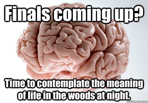 Finals coming up? Time to contemplate the meaning of life in the woods at night.  Scumbag Brain