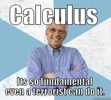 CALCULUS ITS SO FUNDAMENTAL EVEN A TERRORIST CAN DO IT. Engineering Professor