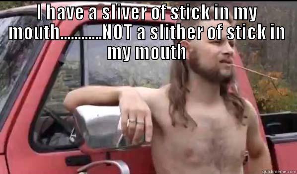 I HAVE A SLIVER OF STICK IN MY MOUTH............NOT A SLITHER OF STICK IN MY MOUTH  Almost Politically Correct Redneck