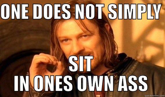 ONE DOES NOT SIMPLY  SIT IN ONES OWN ASS One Does Not Simply