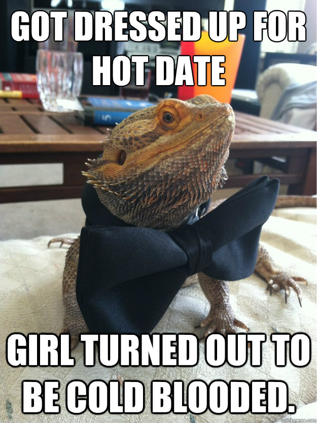 Got dressed up for hot date girl turned out to be cold blooded. - Got dressed up for hot date girl turned out to be cold blooded.  Fancy Lizard