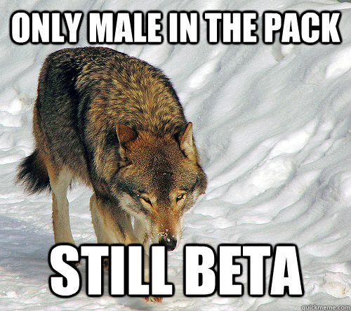 only male in the pack still beta - only male in the pack still beta  Woeful Wolf