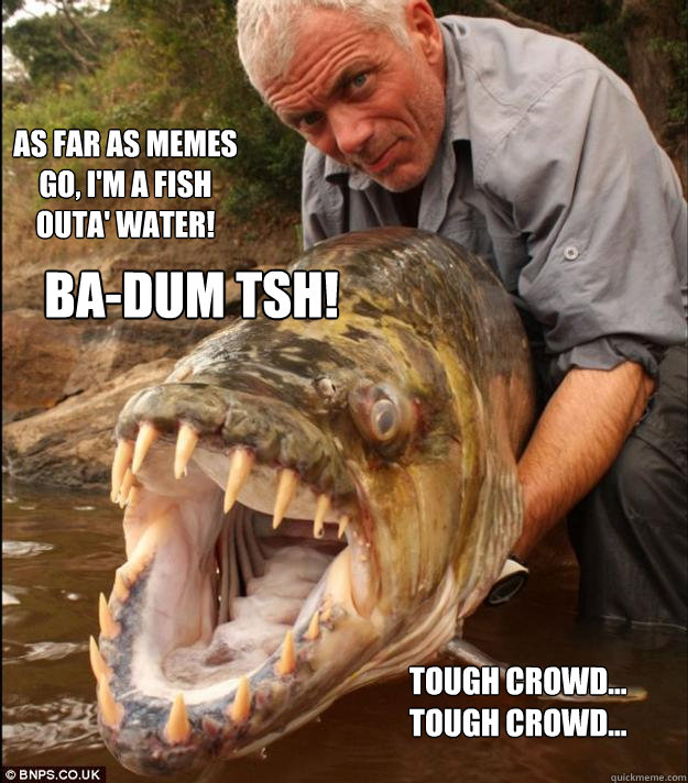 As far as memes go, I'm a fish outa' water! Tough crowd... tough crowd... BA-dum tsh! - As far as memes go, I'm a fish outa' water! Tough crowd... tough crowd... BA-dum tsh!  Comedy Fish