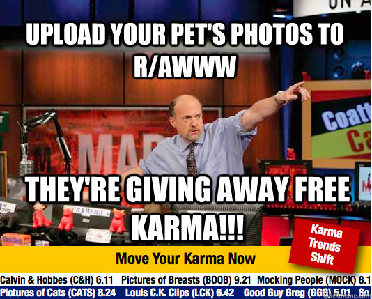 Upload your pet's photos to r/awww they're giving away free karma!!!  Mad Karma with Jim Cramer