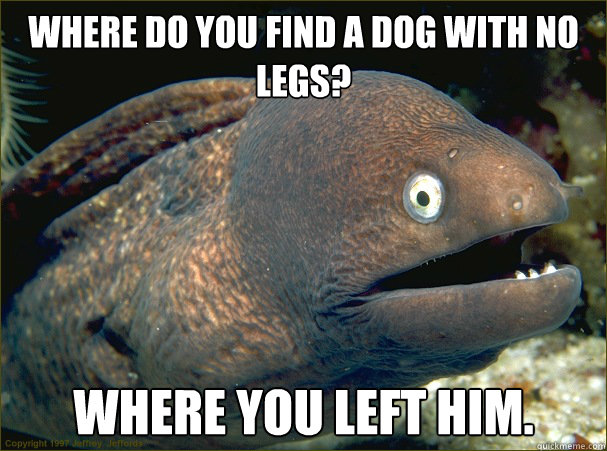 Where do you find a dog with no legs? Where you left him.  Bad Joke Eel