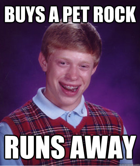 buys a pet rock runs away  Bad Luck Brian