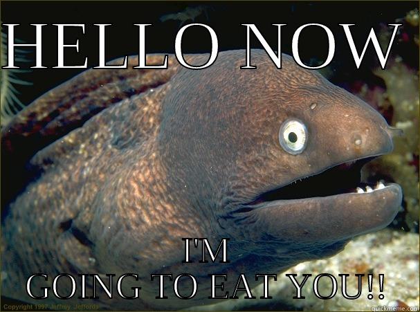 HELLO NOW  I'M GOING TO EAT YOU!! Bad Joke Eel