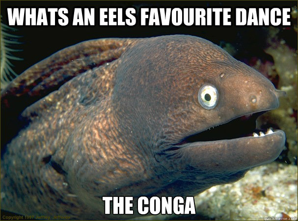 Whats an eels favourite Dance The Conga - Whats an eels favourite Dance The Conga  Bad Joke Eel