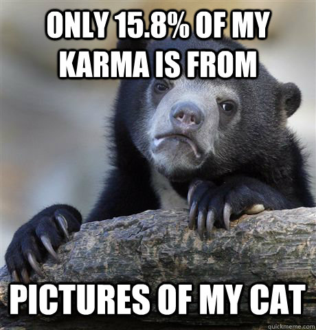 ONLY 15.8% OF MY KARMA IS FROM PICTURES OF MY CAT  Confession Bear