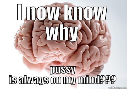 Adult Filth - I NOW KNOW WHY PUSSY IS ALWAYS ON MY MIND??? Scumbag Brain