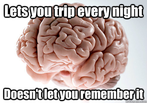 Lets you trip every night Doesn't let you remember it   Scumbag Brain