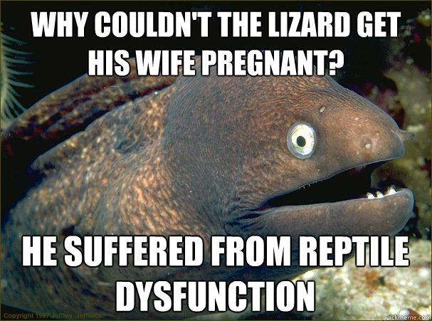 Why couldn't the lizard get his wife pregnant? he suffered from Reptile Dysfunction  Bad Joke Eel