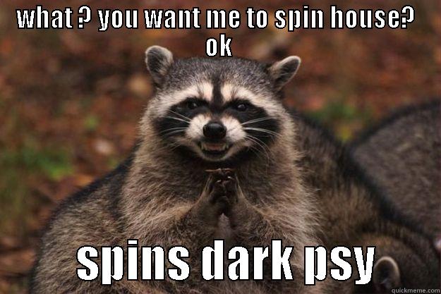 WHAT ? YOU WANT ME TO SPIN HOUSE?  OK          SPINS DARK PSY       Evil Plotting Raccoon