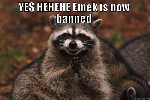 HAHAHA MUWAHAHA - YES HEHEHE EMEK IS NOW BANNED  Evil Plotting Raccoon