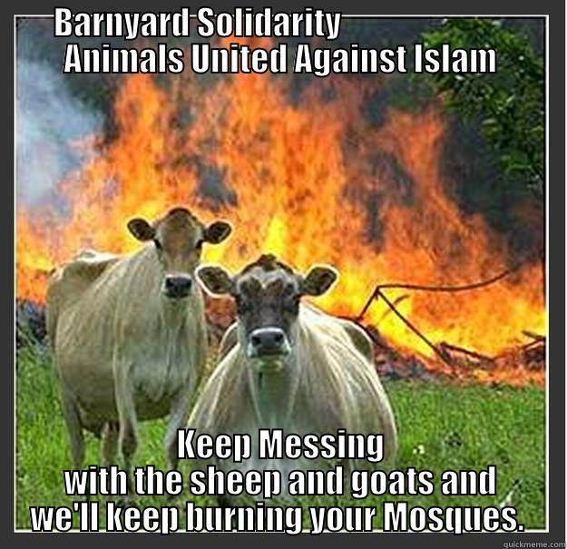 BARNYARD SOLIDARITY                           ANIMALS UNITED AGAINST ISLAM KEEP MESSING WITH THE SHEEP AND GOATS AND WE'LL KEEP BURNING YOUR MOSQUES.  Evil cows