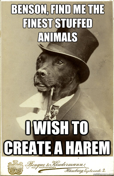 benson, find me the finest stuffed animals
 i wish to create a harem - benson, find me the finest stuffed animals
 i wish to create a harem  Old Money Dog