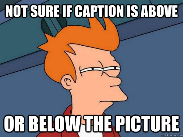 Not sure if caption is above or below the picture  Futurama Fry