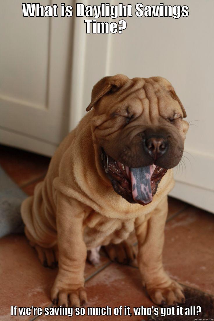 Sharpei Yawn - WHAT IS DAYLIGHT SAVINGS TIME? IF WE'RE SAVING SO MUCH OF IT, WHO'S GOT IT ALL? Misc