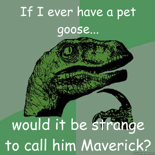 If I ever have a pet goose... would it be strange to call him Maverick? - If I ever have a pet goose... would it be strange to call him Maverick?  Philosoraptor