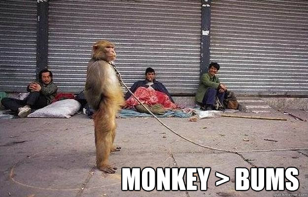 monkey > bums  