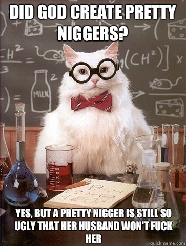 Did god create pretty niggers? Yes, but a pretty nigger is still so ugly that her husband won't fuck her - Did god create pretty niggers? Yes, but a pretty nigger is still so ugly that her husband won't fuck her  Chemistry Cat